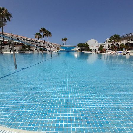 Апартаменти Parque Don Jose 390 Арона Екстер'єр фото
